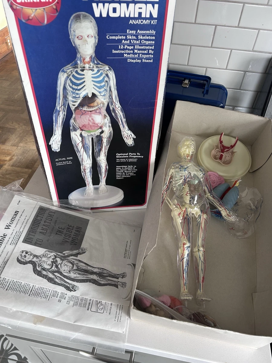 visible woman products for sale | eBay