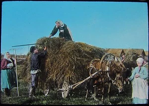 Glass Magic Lantern Slide HARVEST FIELD C1890 PHOTO RUSSIA RUSSIAN FARMERS CART - Picture 1 of 2