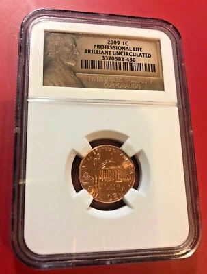 2009 ONE CENT PROFESSIONAL LIFE BRILLIANT UNCIRCULATED - Image 1 of 2