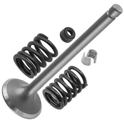 Kit de válvula de escape Caltric para Kawasaki KLT200A4A Duckster 1983 / 12005-1005 Foto 1 de 4