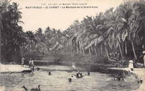 Martinique - LE CARBET - Le marigot de la Grande Anse - Ed. A. Benoit 229 - Picture 1 of 2