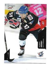 DEL Playercard - 15/16 Basic - Ronny Arendt - Adler Mannheim  #493 - Augsburg