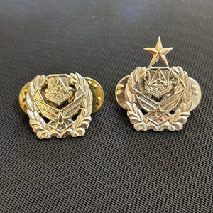 CIVIL AIR PATROL Gem Cap Lapel Pin SQUADRON COMMANDER BADGE Set Of 2 - Picture 1 of 12