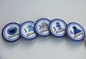 Cookie Monster Birthday Banner, 13 month clothespin picture display / 1st year - Picture 1 of 3