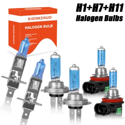 For Renault Duster 2013 2014 2015 2016 Halogen Headlight Hi/Lo + Fog Light Bulbs - Image 1 of 4