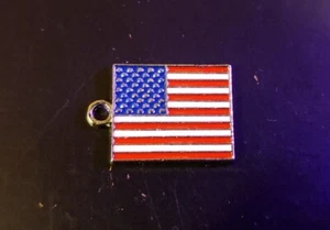 Versilberte amerikanische Flagge Set 24" Silber Schlangenkette - Karabinerverschluss - Bild 1 von 2