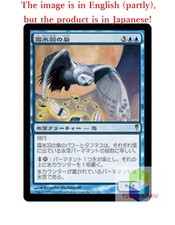 Magic The Gathering MTG JP Foil Rimefeather Owl Rare  Japan