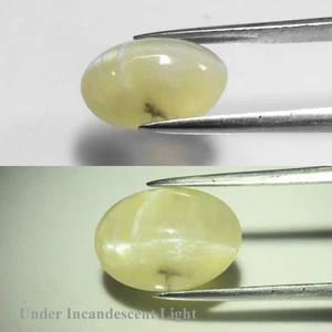 💎 2,62ct 11x8mm Ovaler Cabochon Natürlicher Hellgelber Katzenauge Opal - Afrika Edelstein - Bild 1 von 6