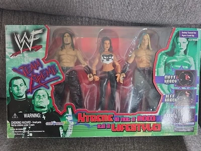 Paquete de 3 figuras WWF Team XTreme Jeff & Matt Hardy Lita Hardy Boyz por favor leer WWE Foto 1 de 4