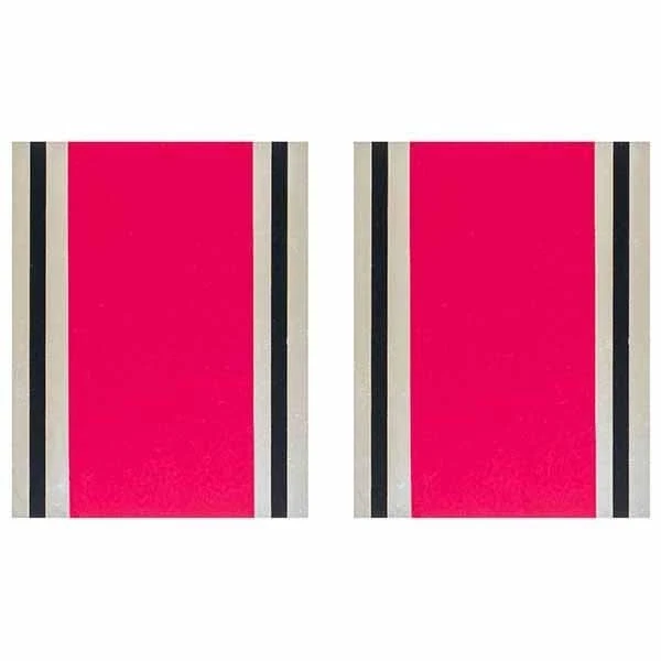 1981-82 Mongoose - Juego de calcomanías Motomag II Foto 1 de 1