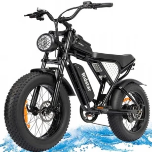 Ridstar 1000W Elektrofahrrad 48V 15AH e-Bike Mountainbike 20 Zoll Fatbike Herren - Bild 1 von 24