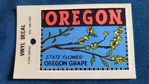 Calcomanía/pegatina para ventana de recuerdo de viaje vintage de uva de Oregon State Flower Oregon  - Imagen 1 de 1