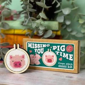 Matchbox Mini Cross Stitch Kit "Missing You Pig Time" Crafty Kit Company - Bild 1 von 5