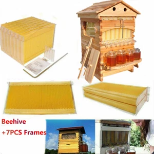 2025 NEW Wooden Beekeeping Beehive House Box 7PCS Auto Honey Bee Comb Hive Frame - Picture 1 of 12