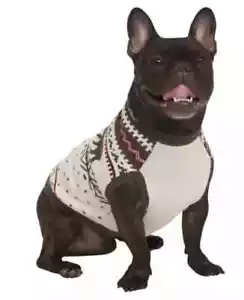 Lands' End Dog Family Holiday Sweater, Cream, Size Medium (327) - Picture 1 of 5