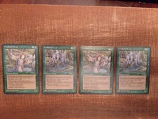 Fyndhorn druid MTG Cards 4x  NM