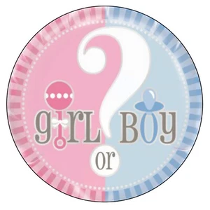 BABY SHOWER GAMES Mixed Gender reveal party Thank you  24x Sticker Guess  1087 - Picture 1 of 6