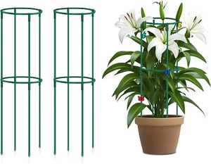 2 Packs 22 Inch Plant Support Stakes round Small Plant Stakes for Indoor Plants, - Picture 1 of 2