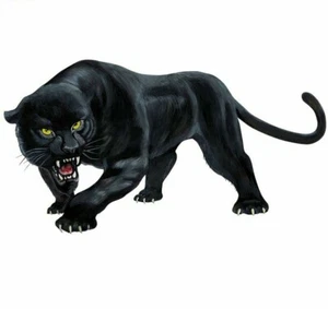 Adesivo colorato sticker auto moto scooter car tuning styling PANTHER pantera - Foto 1 di 12