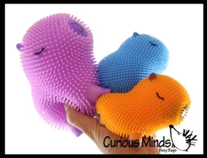 Capybara Family Set of 3 Puffer Air- Filled Squeeze Stress Balls - Large Rodent - Picture 1 of 19