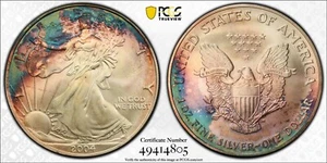 2004 American Silver Eagle PCGS MS67 TONER With TRUEVIEW Colors Double Side - Picture 1 of 9