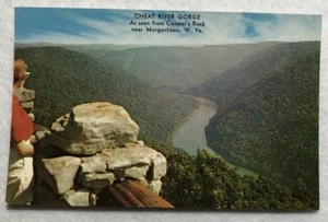 Cheat River Gorge visto da Cooper's Rock vicino a Morgantown, W. Virginia PC (K1) - Foto 1 di 2
