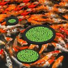 5pcs/set EVA Aquarium Floating Plant Corral Fishes Feeding Rings  Fish Tank