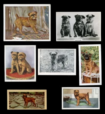 Tarjetas de comercio y cigarrillos de colección Griffon Bruxellois Bruselas Belga para perros - x 7 Foto 1 de 2