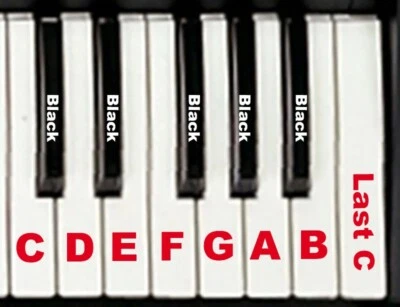 Chiave di ricambio per Korg Triton Le N364 TR PA800 Roland G600 VA7 - Immagine 1 di 3