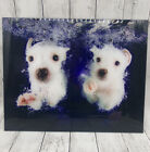 Frameless HD Glass Wall Art Two White Puppies Swimming