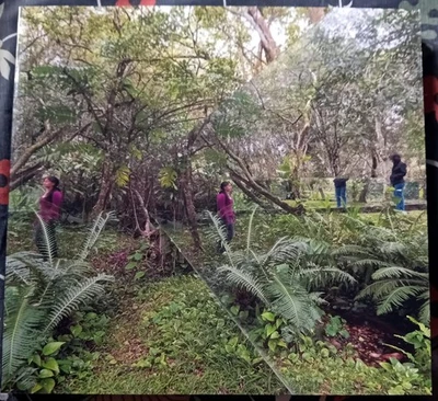 BSI Swiss Architectural Award 2008 - Immagine 1 di 4