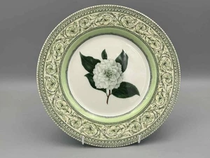The Royal Horticultural Society Applebee - 10,3/4" Dinner Plate - Picture 1 of 2