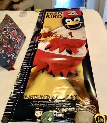 Rare 2011 St. Louis Cardinals Fred Bird Growth Chart Poster Advertising 75”X 26” - Image 1 of 4