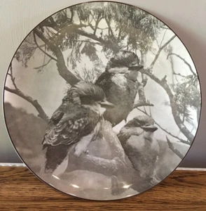 Vintage Royal Doulton Decorative Plate Young Kookaburras. Black & White. 16.25cm - Picture 1 of 8