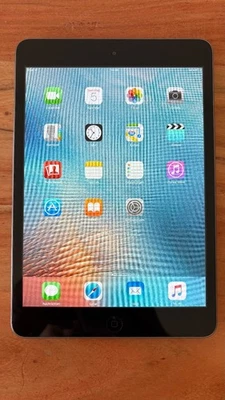 Apple iPad Mini 1. Generation Tablet - Bild 1 von 4