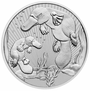 2021 Mother & Baby Platypus 2 oz Piedfort Silver Coin In Capsule - Picture 1 of 4