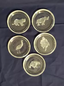 Posavasos de vidrio 5 Val St Lambert grabados oso rinoceronte gorila pájaro tigre animal - Imagen 1 de 24