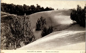 Chesterton, IN Nature at Work, Duneland Study 1946 909 - Picture 1 of 2