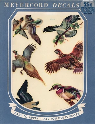 Calcomanía vintage Meyercord 973-A birds Foto 1 de 3