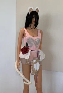 Halloween Costume Angelina Ballerina Corset Cosplay Sexy Unique Outfit lingerie - Picture 1 of 10