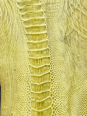 PIEL DE PIERNA DE AVESTRUZ GENUINA PIEL CUERO EXÓTICO Foto 1 de 4