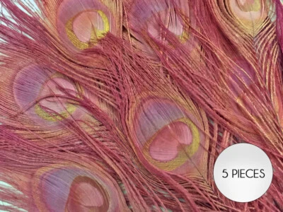 5 Pieces – Taupe Bleached & Dyed Peacock Tail Eye Feathers 10-12” Long Halloween - Image 1 of 4