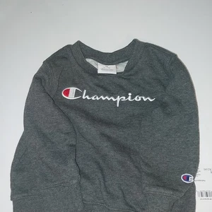 Champion graues Pullover Sweatshirt Kleinkind 2t - Bild 1 von 3