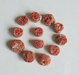 100% Natural Sea Italian 'Red' Coral Rough Round Shape AA+Quality Gemstone. Q-63 - Picture 1 of 12