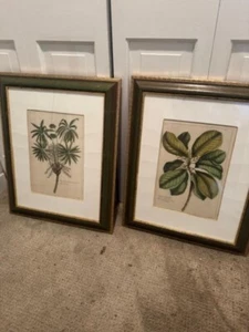 Trowbridge Gallery, Handmade Frames, Certified Registered Botanical Prints Set 2 - Picture 1 of 14