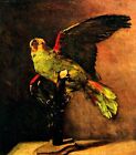 Parrot by Vincent Van Gogh Giclee Fine Art Print Reproduction on Canvas