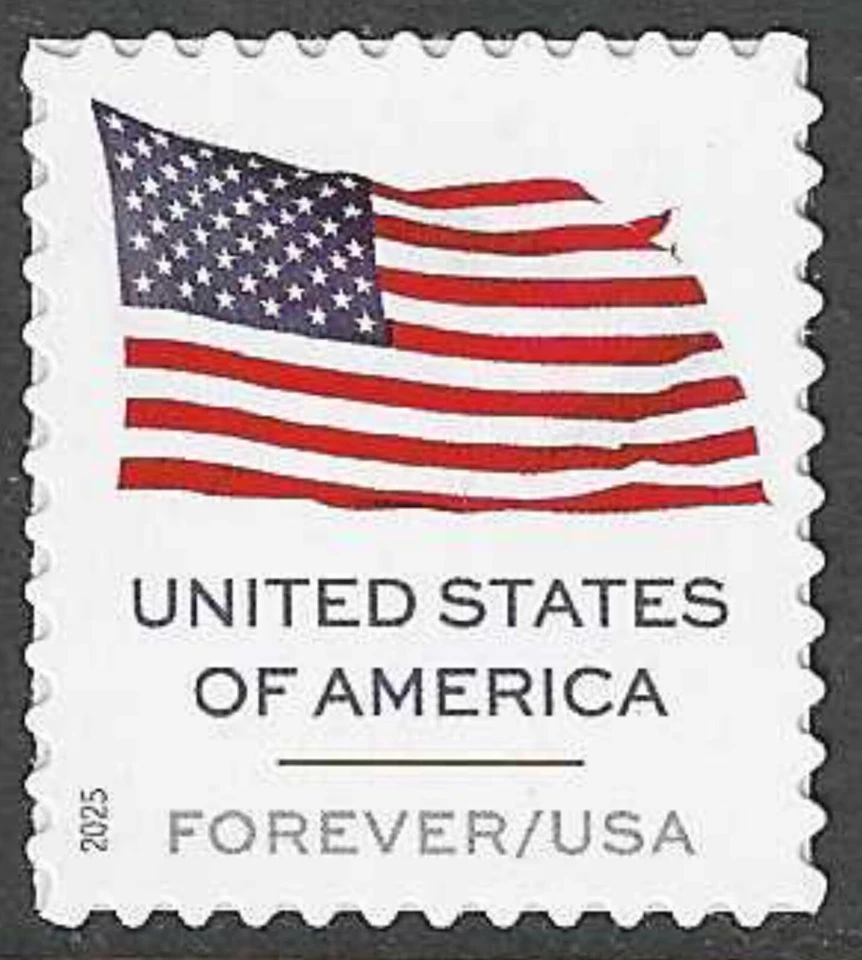 USA Sc. 6016 (F) Flag 2025 MNH pane single - Image 1 of 1
