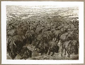 Mark Whitcombe Schrei des Bison Original limitierte Ausgabe signiert nummeriert Radierung 4 von 200 - Bild 1 von 1