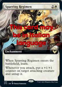 MTG SPARRING REGIMEN EXC - REGIME DI ALLENAMENTO - STX-X IT - MAGIC - Picture 1 of 1