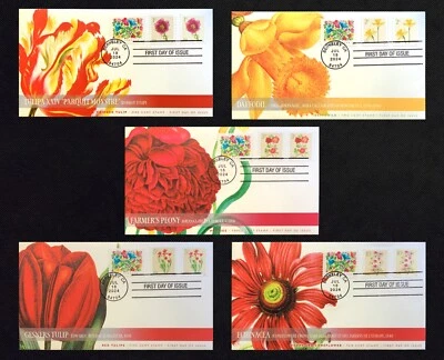 Baja denominación 2024. Conjunto de 5 estampillas de flores en blanco/bobina FDC - cachés de Ciccolella Foto 1 de 4